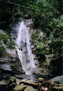 Waterfall_no6